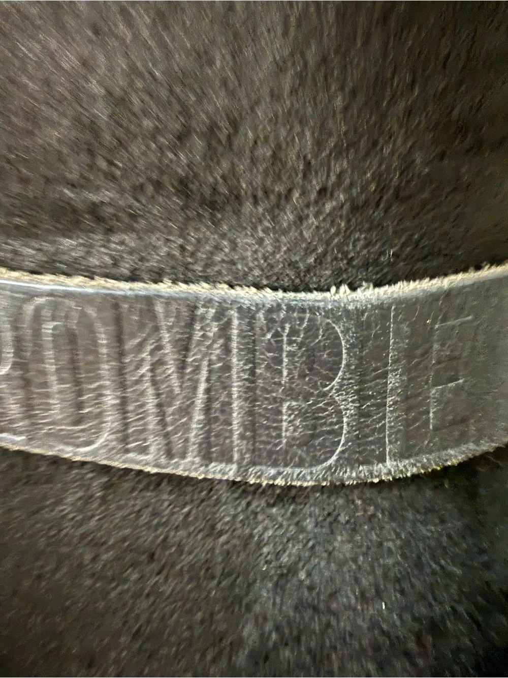 Abercrombie & Fitch abercrombie black